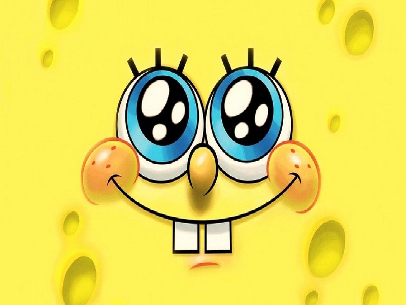 李先生夫妇成功案例